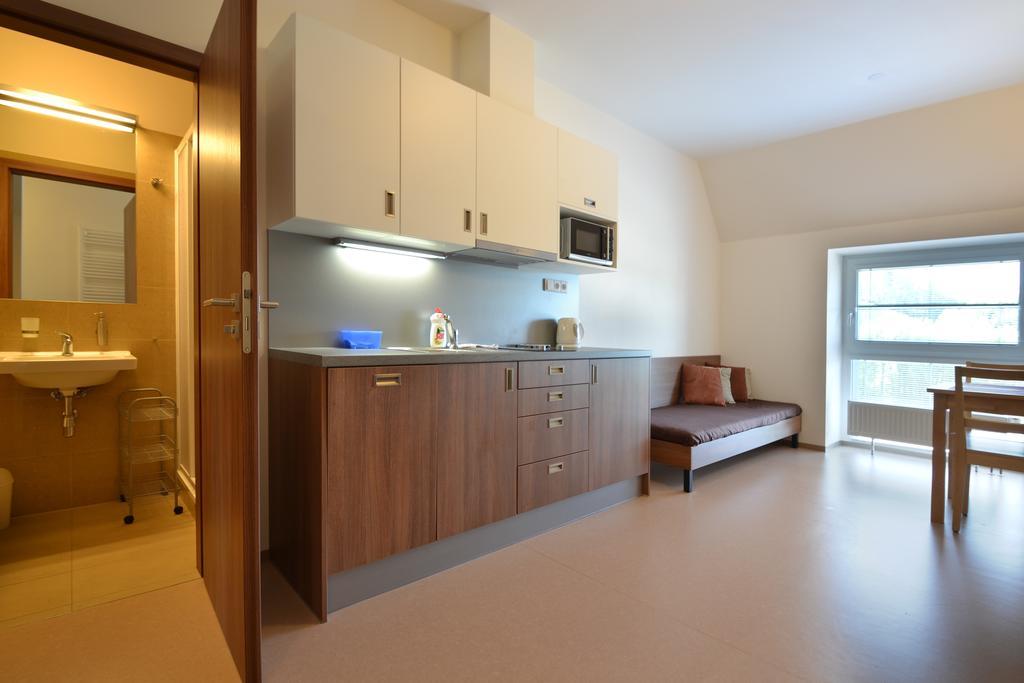 Apartmany Rokytka Snowhouse Rokytnice nad Jizerou Exterior photo